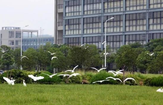 1687400880676811.jpg 360截圖20230622102720773.jpg