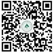 1689562037681686.jpg 22.jpg