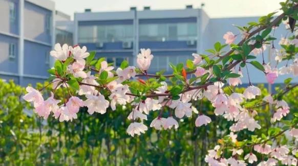 1691025086724250.jpg 江南.jpg