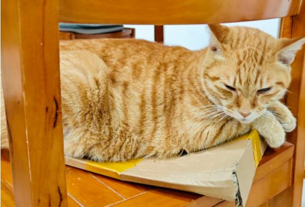 1704852583678230.jpg 南京鐵道職業(yè)技術(shù)學(xué)院8.jpg