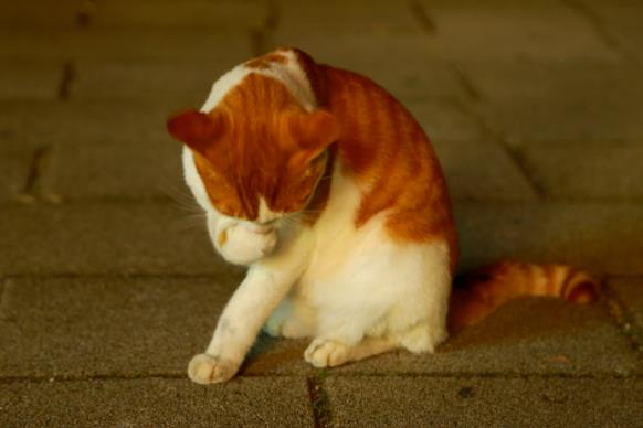 1704852594778944.jpg 南京鐵道職業(yè)技術(shù)學(xué)院12.jpg