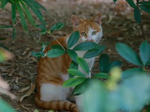 1704852604321944.jpg 南京鐵道職業(yè)技術(shù)學(xué)院11.jpg