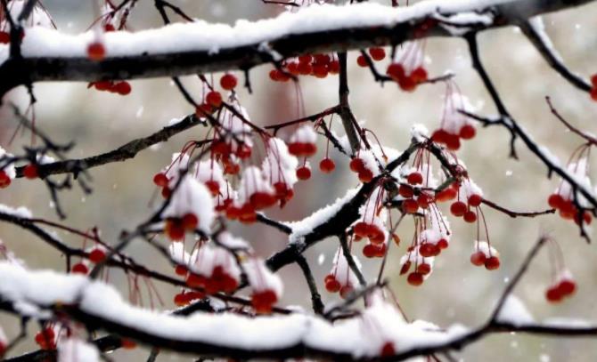 1705644462483375.jpg 江蘇農(nóng)牧科技職業(yè)學(xué)院5.jpg