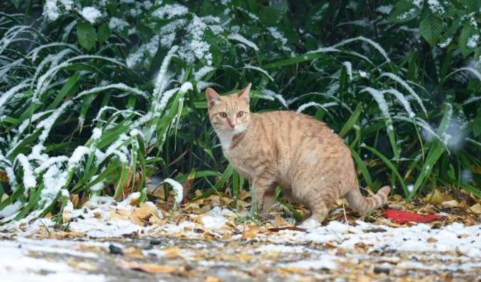 1705644477659833.jpg 江蘇農(nóng)牧科技職業(yè)學(xué)院8.jpg