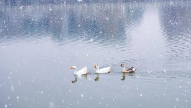 1705644483964947.jpg 江蘇農(nóng)牧科技職業(yè)學(xué)院11.jpg