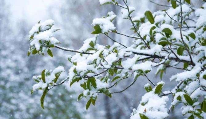 1705644490666030.jpg 江蘇農(nóng)牧科技職業(yè)學(xué)院12.jpg