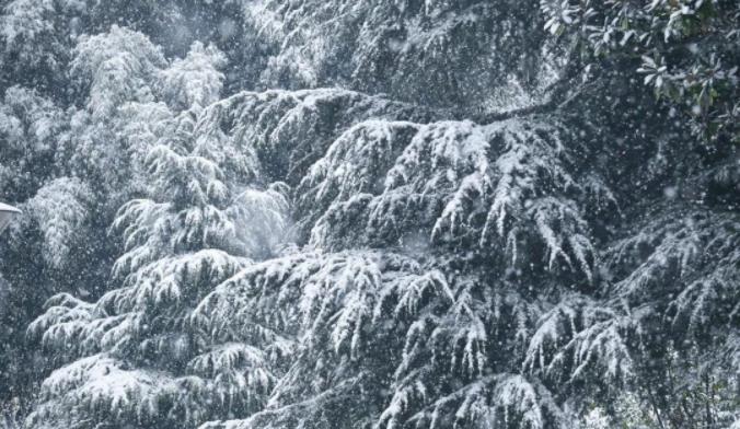 1705644495717928.jpg 江蘇農(nóng)牧科技職業(yè)學(xué)院13.jpg