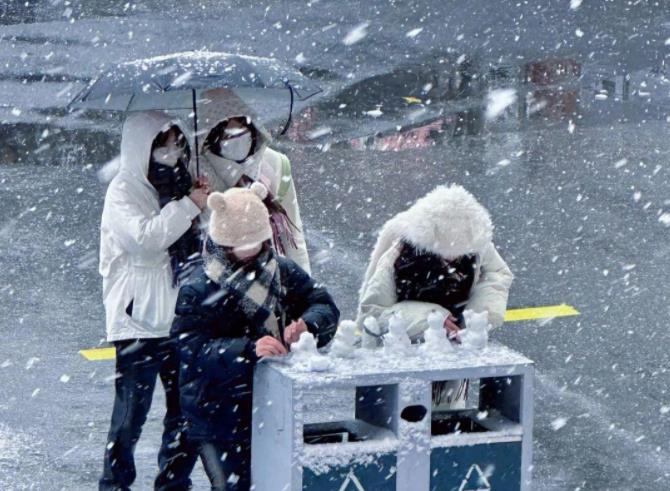 1705644544809832.jpg 江蘇農(nóng)牧科技職業(yè)學(xué)院25.jpg