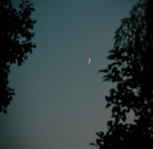 1705910577932588.jpg 蘇職大的“早C晚A”的生活5.jpg