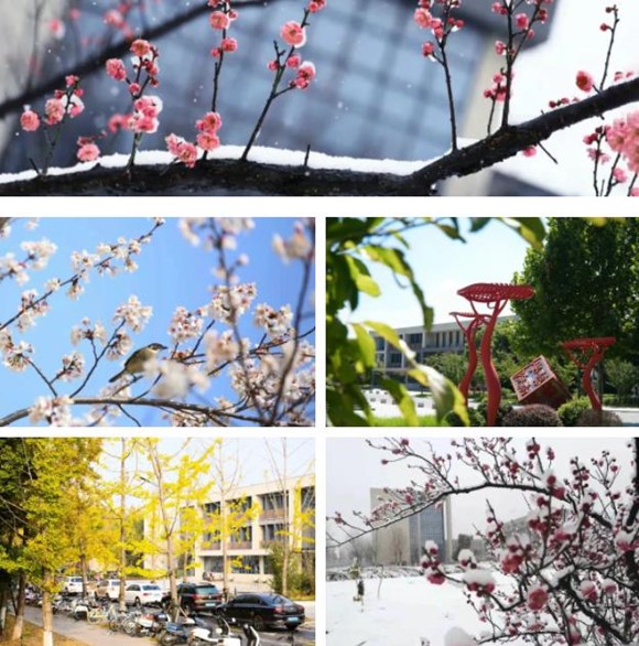 那些隱藏在泰職院校園的“數(shù)字” ，等你來解鎖！9_副本.jpg