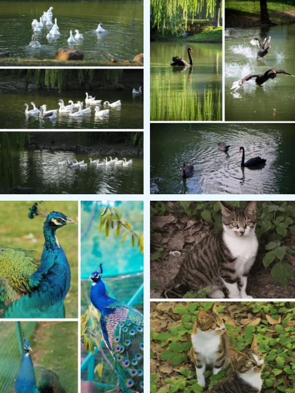 1706168612283917.jpg 蘇州市職業(yè)大學(xué)7.jpg