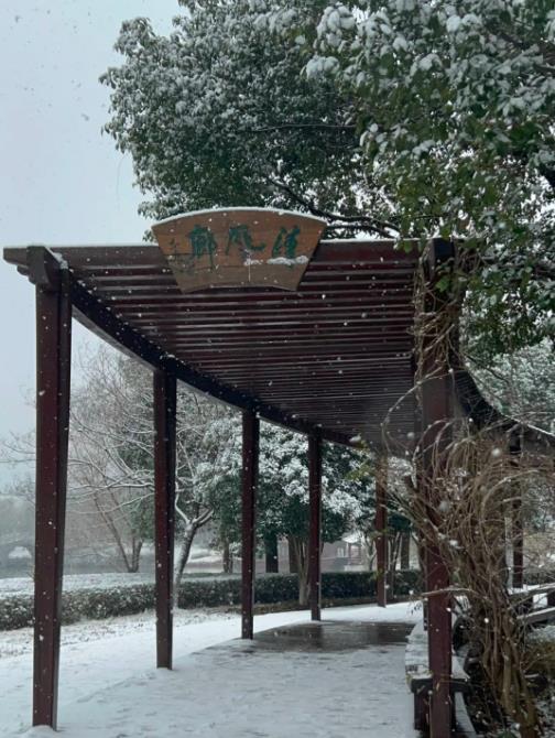 冬日雪舞，校園留痕！回憶無錫商業(yè)職業(yè)技術(shù)學(xué)院的那場(chǎng)雪！12.jpg