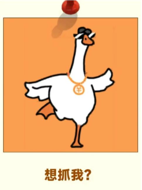 浦江版“抓大鵝”，速看.jpg