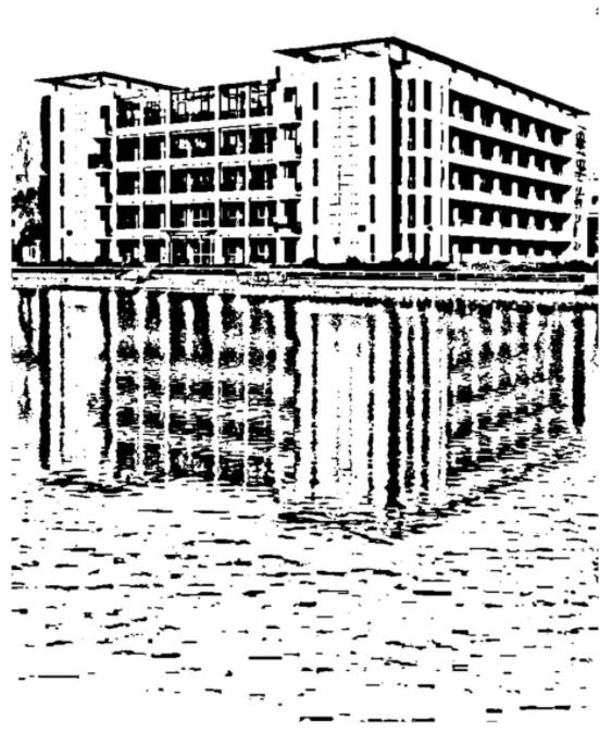 1717556202534081.jpg 一起捕捉蘇州衛(wèi)生職業(yè)技術(shù)學院的光與影2.jpg