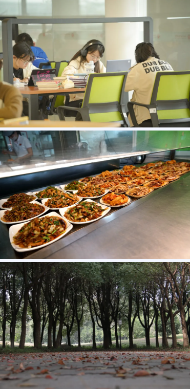 1718005740933158.jpg 蘇州大學(xué)應(yīng)用技術(shù)學(xué)院1.jpg