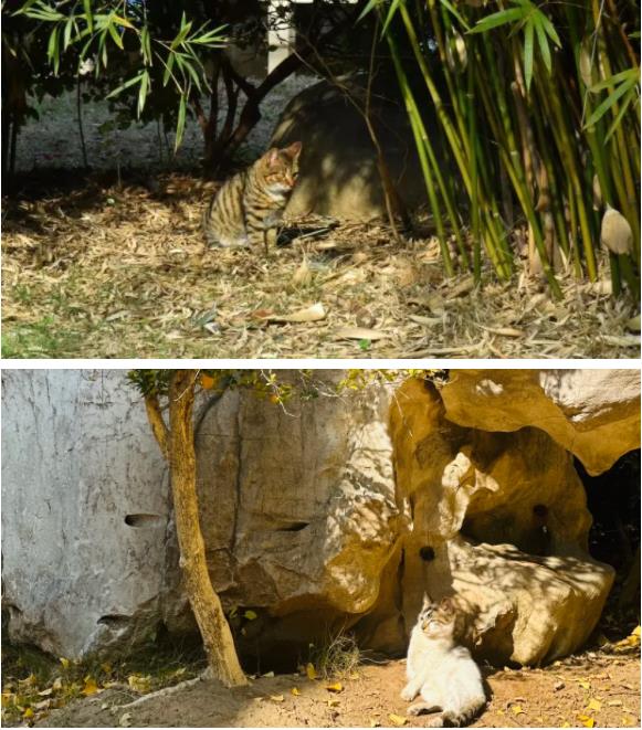 來江蘇航運(yùn)學(xué)院 感受航院20分鐘效應(yīng)！6.jpg