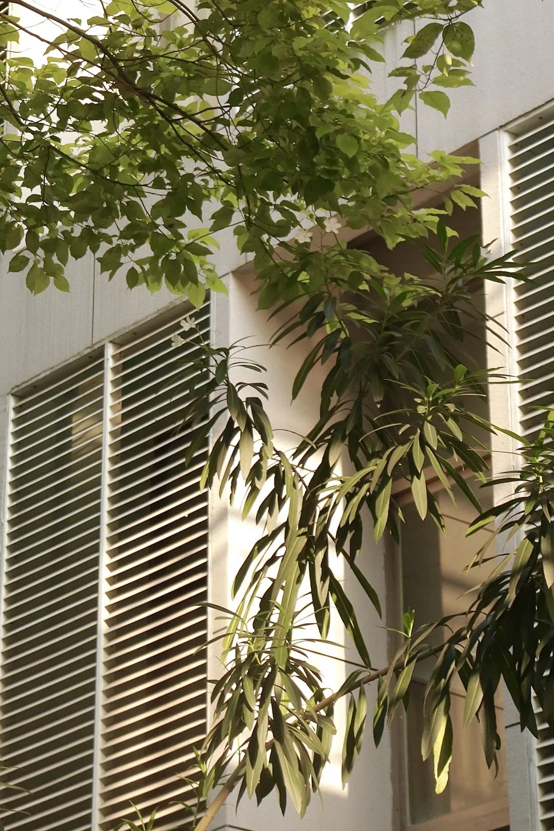 1718786470671280.jpg cn_mmbiz_jpg_1xudpjXy0AjW00Y8zDo3ibCibmV6gWYDuoZ6mdCI5tv2r58uf22AXNboNjRafibSZfhgpdQkR0vniaJj4ibvuiatQqiag_.jpg