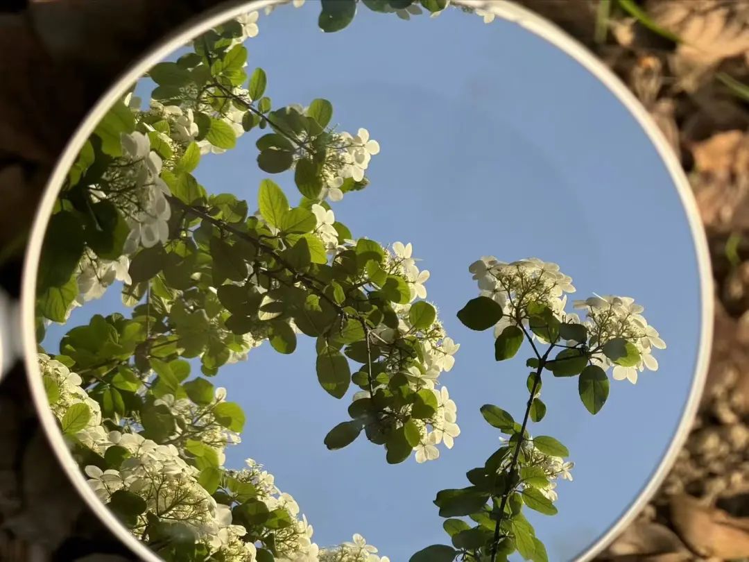 1718786758799084.jpg cn_mmbiz_jpg_1xudpjXy0AjW00Y8zDo3ibCibmV6gWYDuoagMEyefdb5XtlID4Ficibmp5Psu21FjtfmJ9gqO2jl7r4KSicaKicZfVfA_.jpg