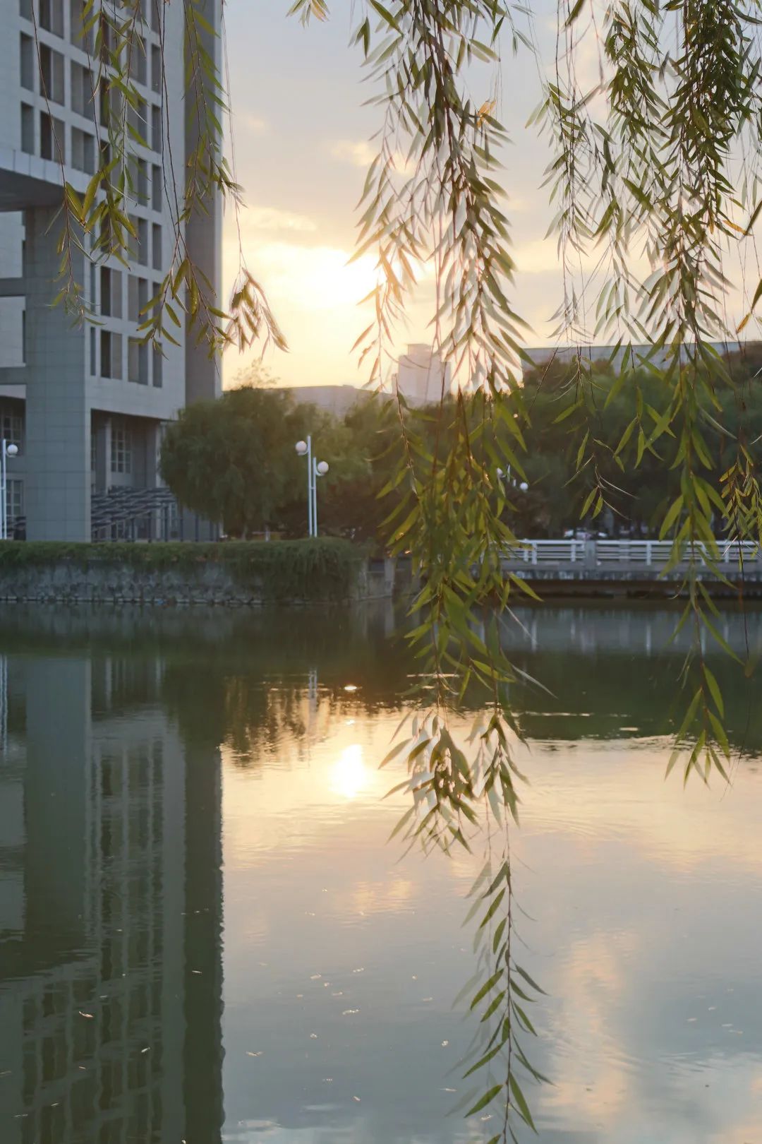 1718787039388101.jpg cn_mmbiz_jpg_1xudpjXy0AjW00Y8zDo3ibCibmV6gWYDuo8kM6L26EgiaobP46Llbfb2FbBre8EicY5zOoibNia1ibOfXoUjpvQc4ylMQ_.jpg