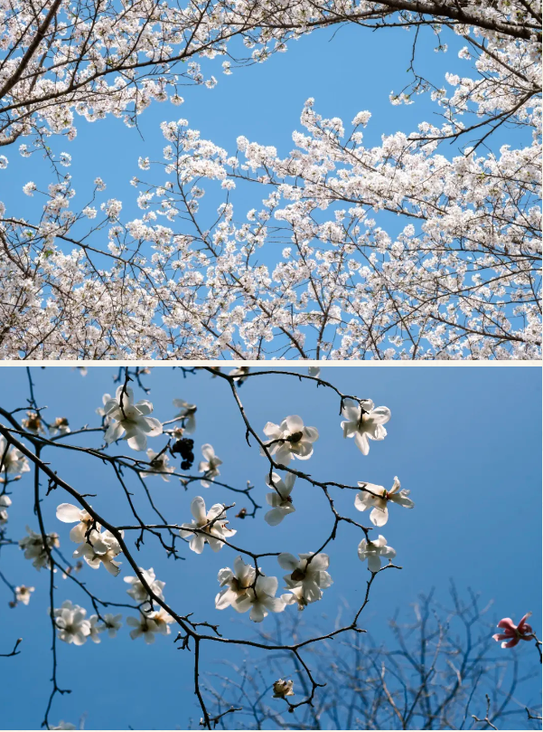 1719541211246068.png 1719541203420.png