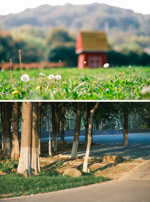 1719541247684759.png 1719541241618.png