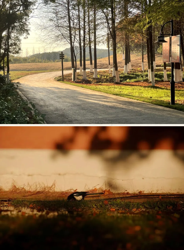 1719541270595552.png 1719541264672.png