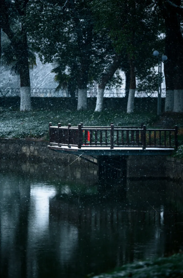 1719541297926143.png 1719541291020.png