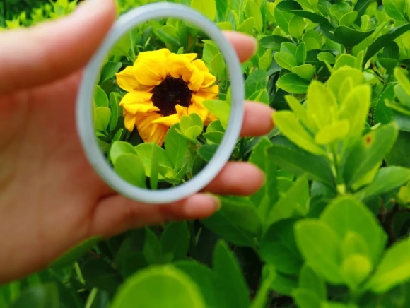 探尋蘇衛(wèi)校園中的“鏡”.webp (1)_副本.jpg