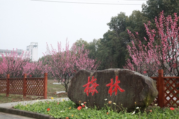 無錫商業(yè)職業(yè)技術學院：校園文化特色景點，點亮學府風采12_副本.jpg