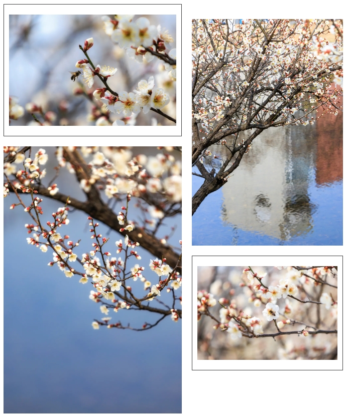 1746846330374454.png 經(jīng)貿(mào)春日頂流Battle.png