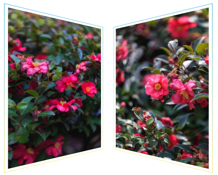 1746846393469692.png 經(jīng)貿(mào)春日頂流Battle6.png