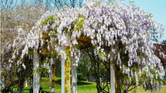 Go Go Go!各位JVICer準(zhǔn)備出發(fā)嘍！.png