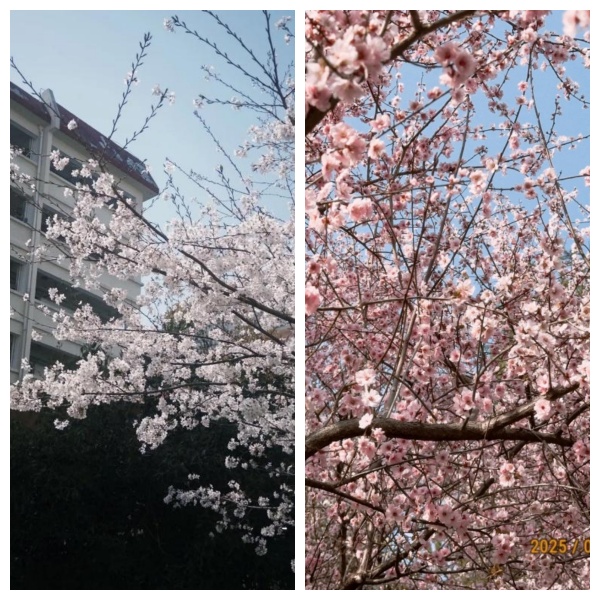 640 (1)_副本_副本.jpg