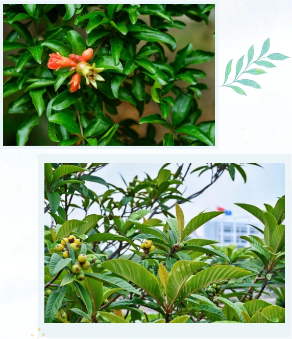 常州工程職業(yè)技術學院光影校園！ 邂逅“夏”一站美好6.png