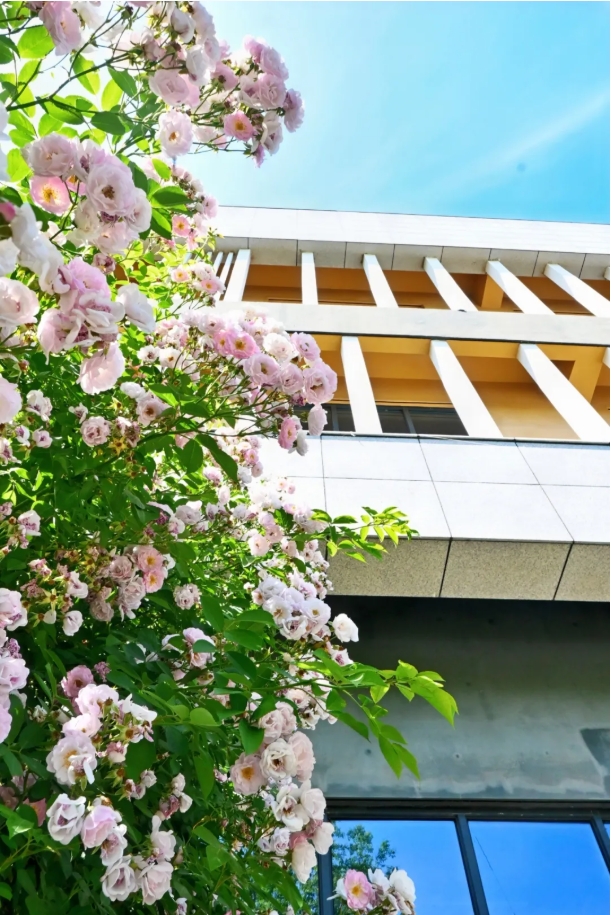 常州工程職業(yè)技術學院光影校園！ 邂逅“夏”一站美好12.png