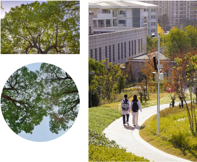 江蘇衛(wèi)生健康職業(yè)學院 一年好景君須記，最是橙黃橘綠時22.png