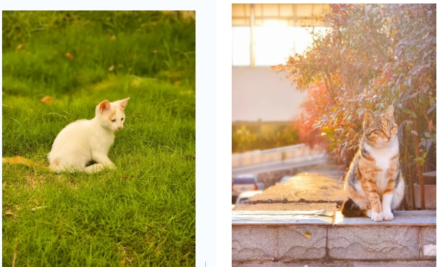 江蘇衛(wèi)生健康職業(yè)學院 一年好景君須記，最是橙黃橘綠時211.png