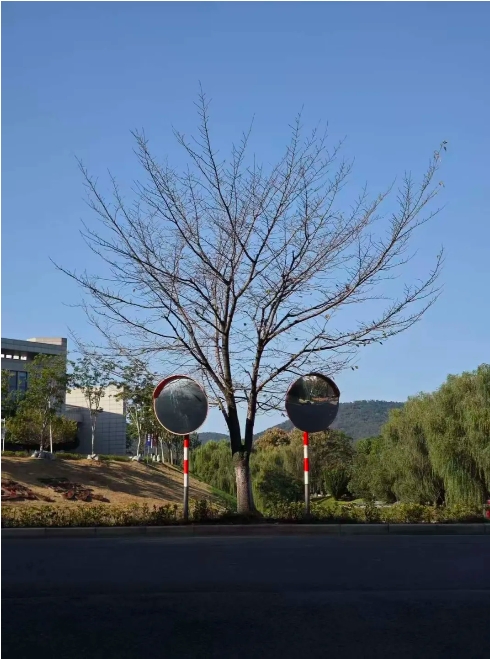 江衛(wèi)冬日集 這些藏在朋友圈里的甜，是青春的“溫度特調(diào)”3.png