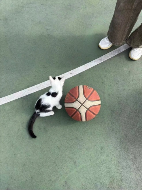 江衛(wèi)冬日集 這些藏在朋友圈里的甜，是青春的“溫度特調(diào)”4.png