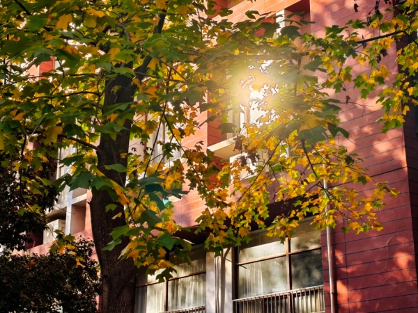 1767580736836631.jpg 在交院邂逅冬日里的暖_副本.jpg