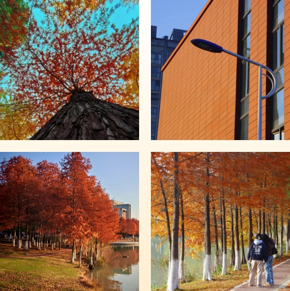 光影交院 一場(chǎng)關(guān)于校園一角的靜謐凝視2.png