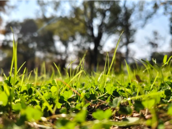 光影交院 一場(chǎng)關(guān)于校園一角的靜謐凝視11.png