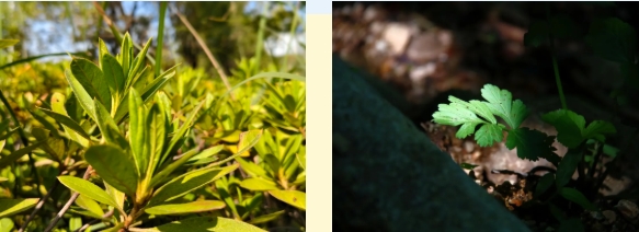 光影交院 一場(chǎng)關(guān)于校園一角的靜謐凝視12.png