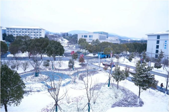 瓊花綴白衣 江蘇衛(wèi)生健康職業(yè)學(xué)院的浪漫雪日記憶.png