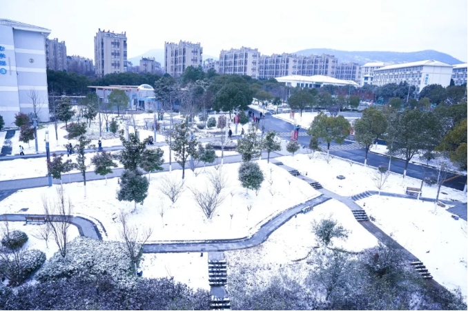 瓊花綴白衣 江蘇衛(wèi)生健康職業(yè)學(xué)院的浪漫雪日記憶2.png