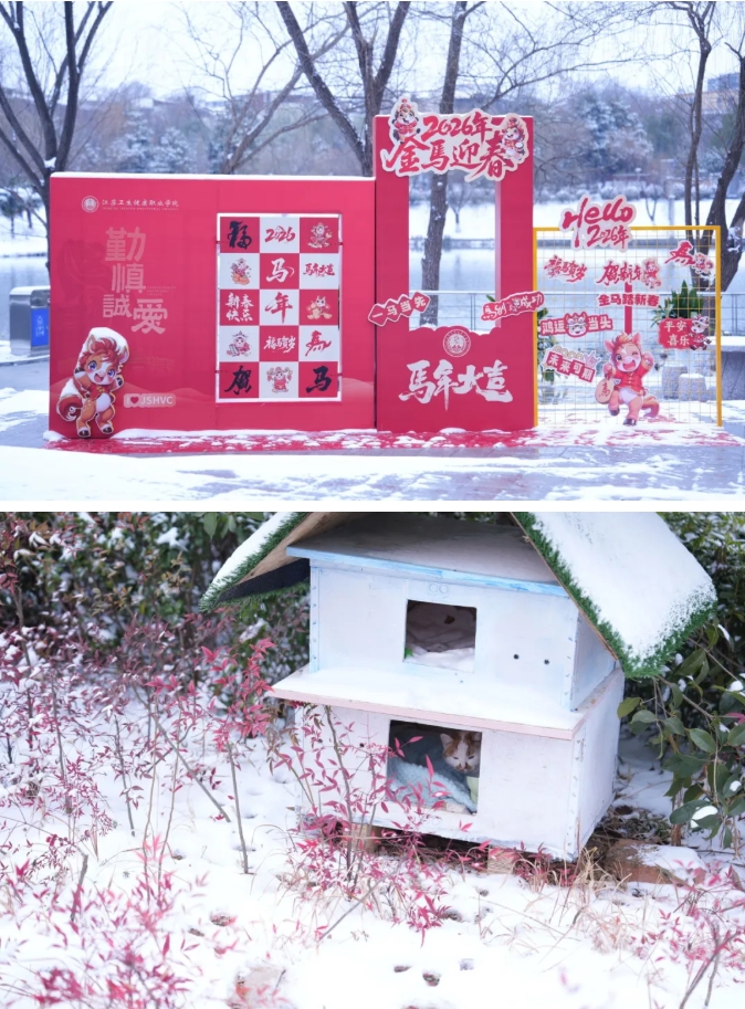 瓊花綴白衣 江蘇衛(wèi)生健康職業(yè)學(xué)院的浪漫雪日記憶9.png