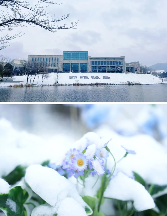 瓊花綴白衣 江蘇衛(wèi)生健康職業(yè)學(xué)院的浪漫雪日記憶12.png