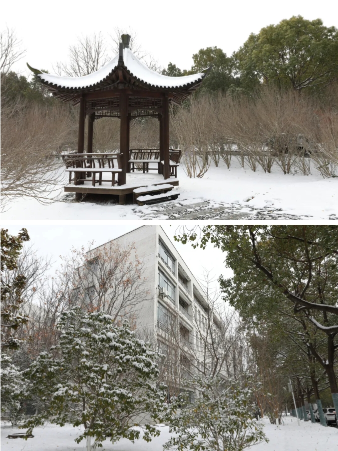 1768964724760345.png 臻美鹽幼 當(dāng)鹽幼遇上初雪4.png