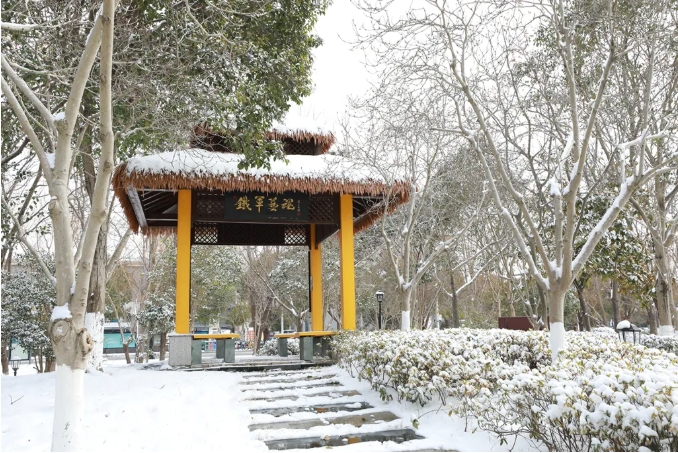 1768964741618087.png 臻美鹽幼 當(dāng)鹽幼遇上初雪7.png