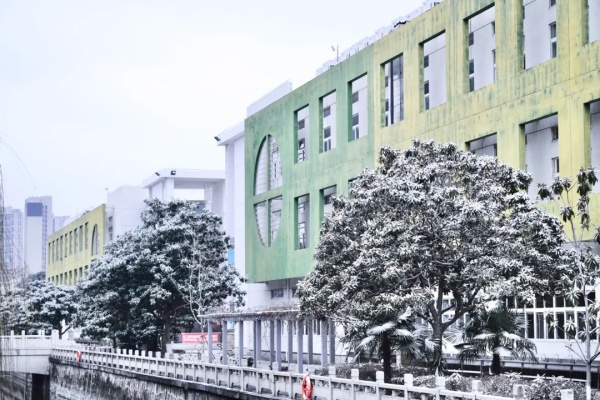 初雪治愈，靜謐如畫(huà)！常州工程學(xué)院披上冬日銀裝！8_副本.jpg